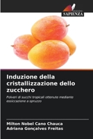 Induzione della cristallizzazione dello zucchero (Italian Edition) 6207229304 Book Cover