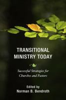 Interim Ministry Today: Pastor Transitions in a New Church Landscape 156699750X Book Cover