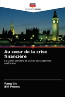 Au coeur de la crise financière 6202851562 Book Cover