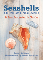 Seashells of New England: A Beachcomber's Guide 1493027891 Book Cover