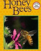 Honey Bees 0811467074 Book Cover