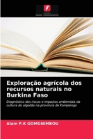 Exploração agrícola dos recursos naturais no Burkina Faso: Diagnóstico dos riscos e impactos ambientais da cultura do algodão na província de Kompienga 620351098X Book Cover