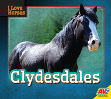Clydesdales (I Love Horses) 1791119557 Book Cover