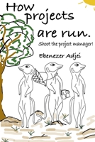 How projects are run: Shoot the project manager! 1688273522 Book Cover