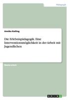 Die Erlebnisp�dagogik. Eine Interventionsm�glichkeit in der Arbeit mit Jugendlichen 3656738343 Book Cover