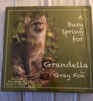 A Busy Spring for Grandella the Gray Fox 0984479317 Book Cover