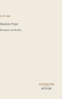 Sheikin Pojat: Romaani Aavikoilta (Finnish Edition) 3387403933 Book Cover