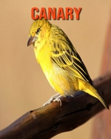 Canary: Learn About Canary and Enjoy Colorful Pictures B08LNJLJW5 Book Cover