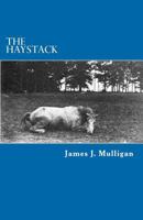 The Haystack 147510118X Book Cover
