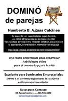 Domin� de parejas 1548511110 Book Cover