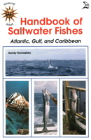 Handbook of Saltwater Fishes 0893170402 Book Cover