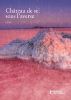 Château de sel sous l'averse (French Edition) 2384623133 Book Cover