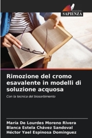 Rimozione del cromo esavalente in modelli di soluzione acquosa (Italian Edition) 6206957772 Book Cover