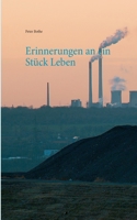 Erinnerungen an ein Stück Leben 3752619929 Book Cover