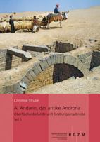 Al Andarin, Das Antike Androna: Oberflachenbefunde Und Grabungsergebnisse: Die Umfassungsmauern Und Das Kastronband 1+2 379542982X Book Cover