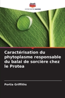 Caractérisation du phytoplasme responsable du balai de sorcière chez le Protea (French Edition) 6209888623 Book Cover