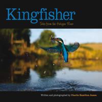 Kingfisher: Tales from the Halcyon River 1901268381 Book Cover