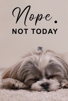 Nope Not Today: Cute Lazy Sleepy dog journal | Pretty Lined Notebook & Diary | Beautiful Cover with Matte finish: 6”x9” Journal of 120 Pages for writing and taking notes 166081362X Book Cover