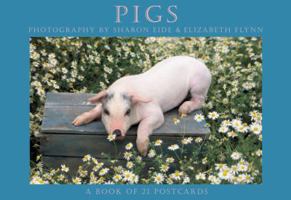 Pigs: A Book Of 21 Postcards
