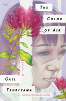 The Color of Air 0062976206 Book Cover