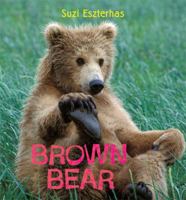 Brown Bear 1847803024 Book Cover