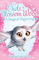 A Magical Beginning 1407156632 Book Cover