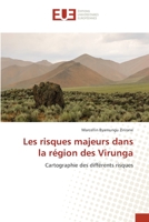 Les risques majeurs dans la région des Virunga 620341817X Book Cover