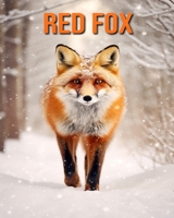 Red Fox: Fun Facts Book for Kids with Amazing Photos B0C6P51BC5 Book Cover