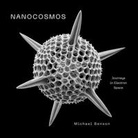 Nanocosmos: Journeys in Electron Space 0810997975 Book Cover