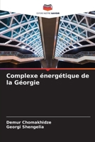 Complexe énergétique de la Géorgie (French Edition) 6207001796 Book Cover