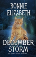 December Storm 1953363032 Book Cover