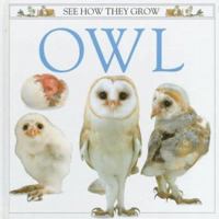 See How They Grow: Owl 0756633729 Book Cover