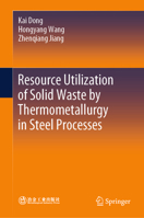 Resource Utilization of Solid Waste by Thermometallurgy in Steel Processes 9819956544 Book Cover