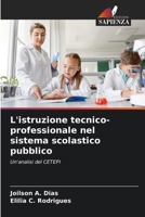 L'istruzione tecnico-professionale nel sistema scolastico pubblico (Italian Edition) 6208179475 Book Cover