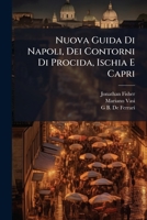 Nuova Guida Di Napoli Dei Contorni Di Procida, Ischia E Capri: Compilata Su La Guida de Vasi Ed Altre Opere Piu Recenti... 1271744902 Book Cover