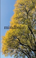 mindbalm 9372139718 Book Cover