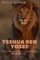 Yeshua Ben Yosef: What the prophecies reveal about MASHIACH B084DGDYHL Book Cover