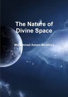 The Nature of Divine Space 1326261711 Book Cover