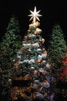 Odds and Ends (Christmas Stories) B0G3T1TSJG Book Cover