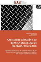 Croissance Cristalline de Bi2sr(2-X)Lnxcuoz Et (Bi, Pb)2sr2cacu2o8 3841795242 Book Cover