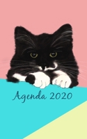 Agenda 2020 : Agenda Settimanale 2020, Agenda GATTO Dal 1 Gennaio 2020 Al 31 Dicembre 2020, Planning e Diario: Tema Gatto 1670379035 Book Cover