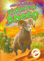 Bighorn Sheep 1626179204 Book Cover
