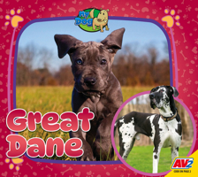 Great Dane (My Dog) B0GXX9PTQH Book Cover
