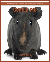 Guinea Pig: Amazing Pictures and Amazing Facts about Guinea Pig B084DNZQLX Book Cover