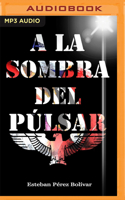 A la Sombra Del Púlsar (Narración en Castellano) 1713566001 Book Cover