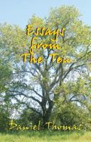 Essays from the Ten 097662690X Book Cover