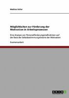 Möglichkeiten zur Förderung der Motivation in Arbeitsprozessen: Eine Analyse von Personalförderungsmaßnahmen auf der Basis der Selbstbestimmungstheorie der Motivation 3638754014 Book Cover