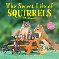 The Secret Life of Squirrels Wall Calendar 2024