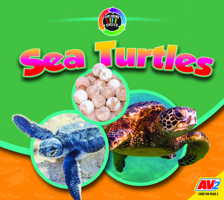 Sea Turtles 1791139248 Book Cover