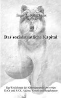 Das sozialstaatliche Kapital 3831102937 Book Cover